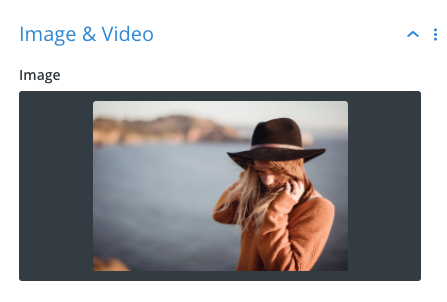 To change the image, simply go the Image setting and upload your image